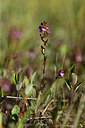 BUITEN BEELD Foto: 362515