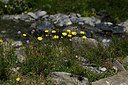 BUITEN BEELD Foto: 362523
