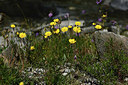 BUITEN BEELD Foto: 362524