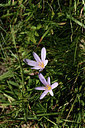 BUITEN BEELD Foto: 362537