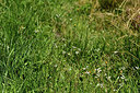 BUITEN BEELD Foto: 362547