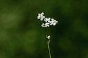 BUITEN BEELD Foto: 362549