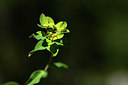 BUITEN BEELD Foto: 362556