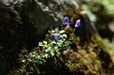 BUITEN BEELD Foto: 362560