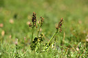 BUITEN BEELD Foto: 362568