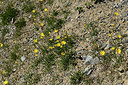 BUITEN BEELD Foto: 362584