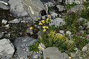 BUITEN BEELD Foto: 362591
