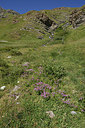 BUITEN BEELD Foto: 362597