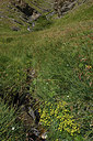 BUITEN BEELD Foto: 362600