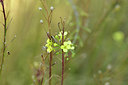 BUITEN BEELD Foto: 362604