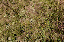 BUITEN BEELD Foto: 362605