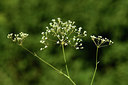 BUITEN BEELD Foto: 362607