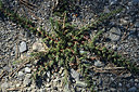 BUITEN BEELD Foto: 362637