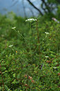 BUITEN BEELD Foto: 362644