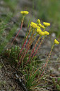 BUITEN BEELD Foto: 362655