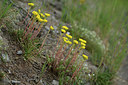 BUITEN BEELD Foto: 362656