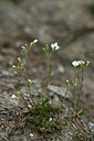 BUITEN BEELD Foto: 362658
