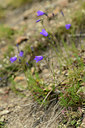 BUITEN BEELD Foto: 362668