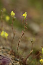 BUITEN BEELD Foto: 362670