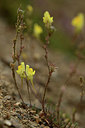 BUITEN BEELD Foto: 362671
