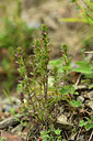 BUITEN BEELD Foto: 362676