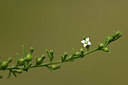 BUITEN BEELD Foto: 362681
