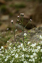 BUITEN BEELD Foto: 362685