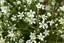 BUITEN BEELD Foto: 362686