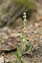 BUITEN BEELD Foto: 362690