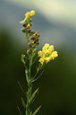 BUITEN BEELD Foto: 362691