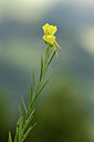 BUITEN BEELD Foto: 362692