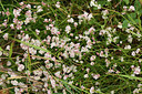 BUITEN BEELD Foto: 362693