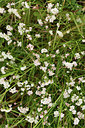 BUITEN BEELD Foto: 362694