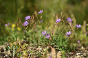 BUITEN BEELD Foto: 362695
