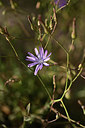 BUITEN BEELD Foto: 362697