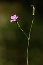 BUITEN BEELD Foto: 362706