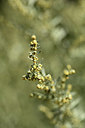 BUITEN BEELD Foto: 362713