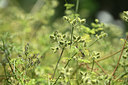 BUITEN BEELD Foto: 362736