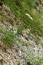 BUITEN BEELD Foto: 362741