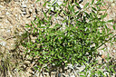 BUITEN BEELD Foto: 362742