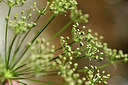 BUITEN BEELD Foto: 362743