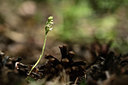 BUITEN BEELD Foto: 362752