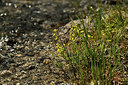 BUITEN BEELD Foto: 362759