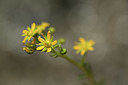 BUITEN BEELD Foto: 362763