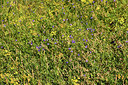 BUITEN BEELD Foto: 362808