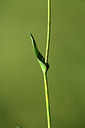 BUITEN BEELD Foto: 362840