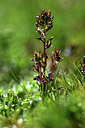 BUITEN BEELD Foto: 362889