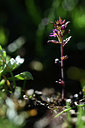 BUITEN BEELD Foto: 362892