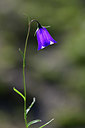 BUITEN BEELD Foto: 362896