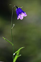 BUITEN BEELD Foto: 362897